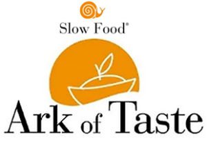 ArtOfTaste