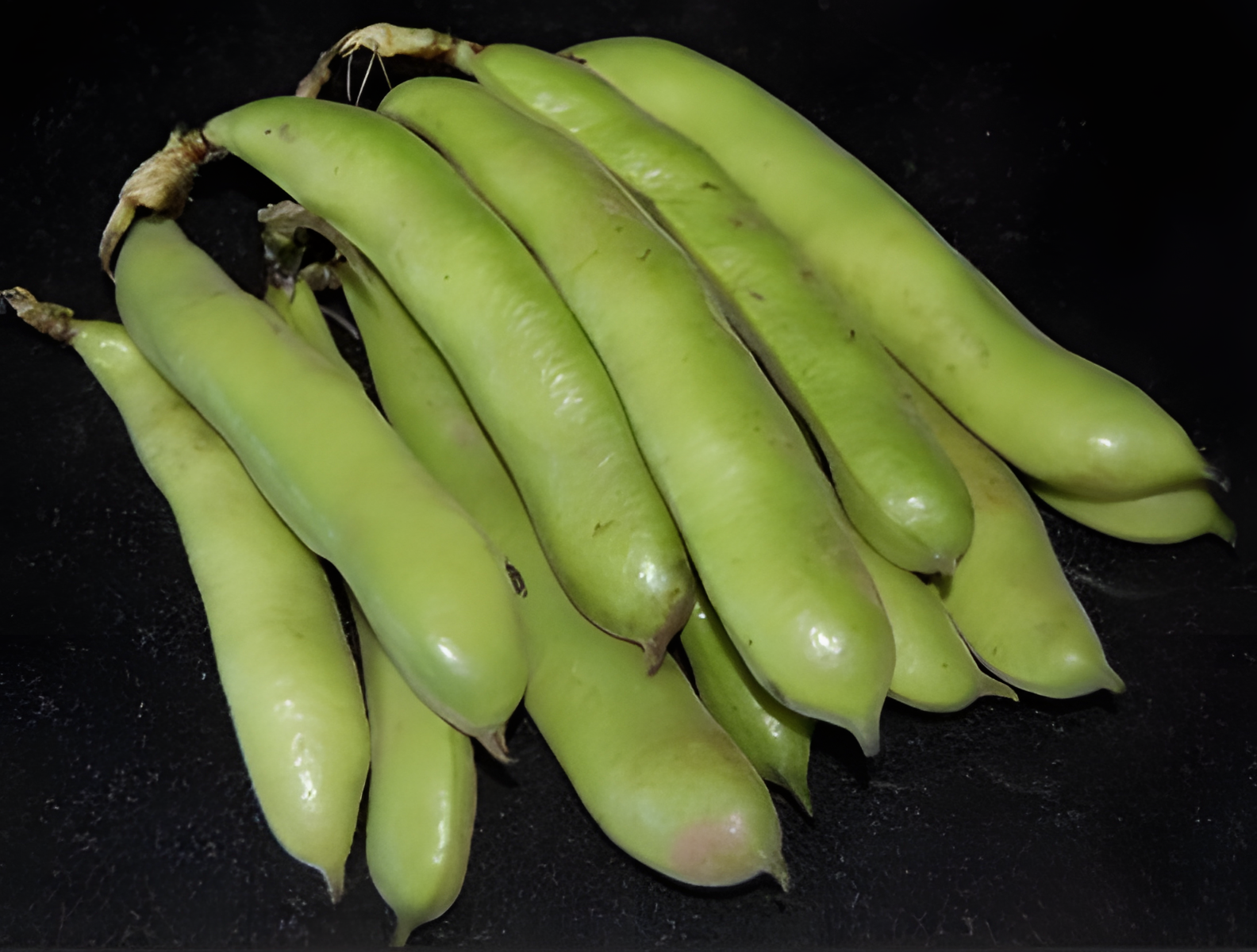 FarmerBeans